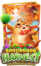 Groundhog Harvest 161x256